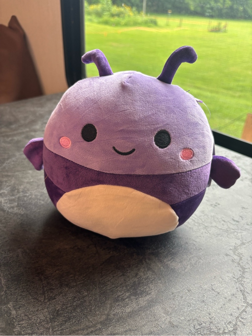 Squishmallows Purple Plush Bug with Pink Cheeks and Cream Belly